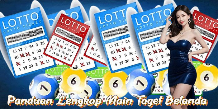Panduan Lengkap Main Togel Belanda
